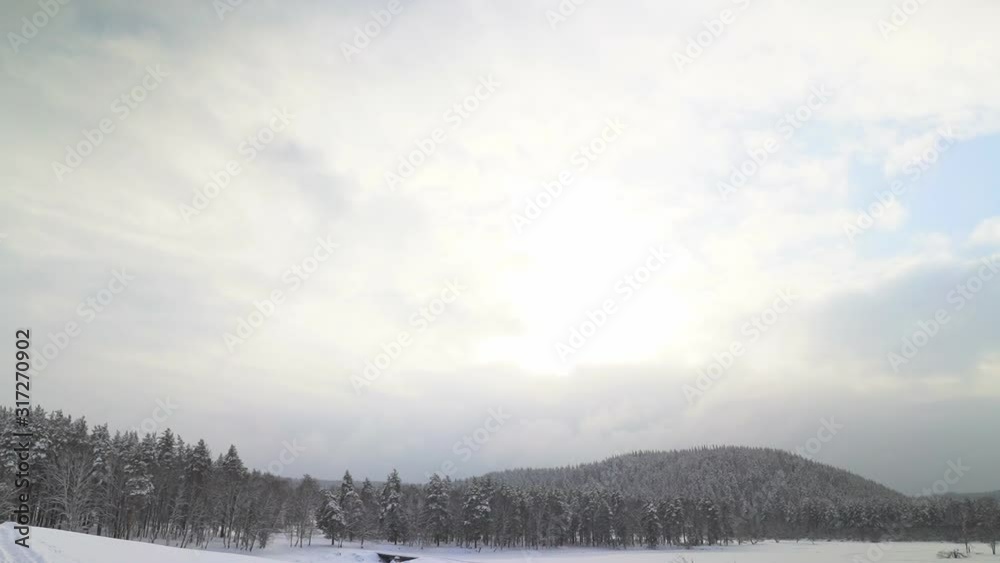 Beautiful snowy winter nature