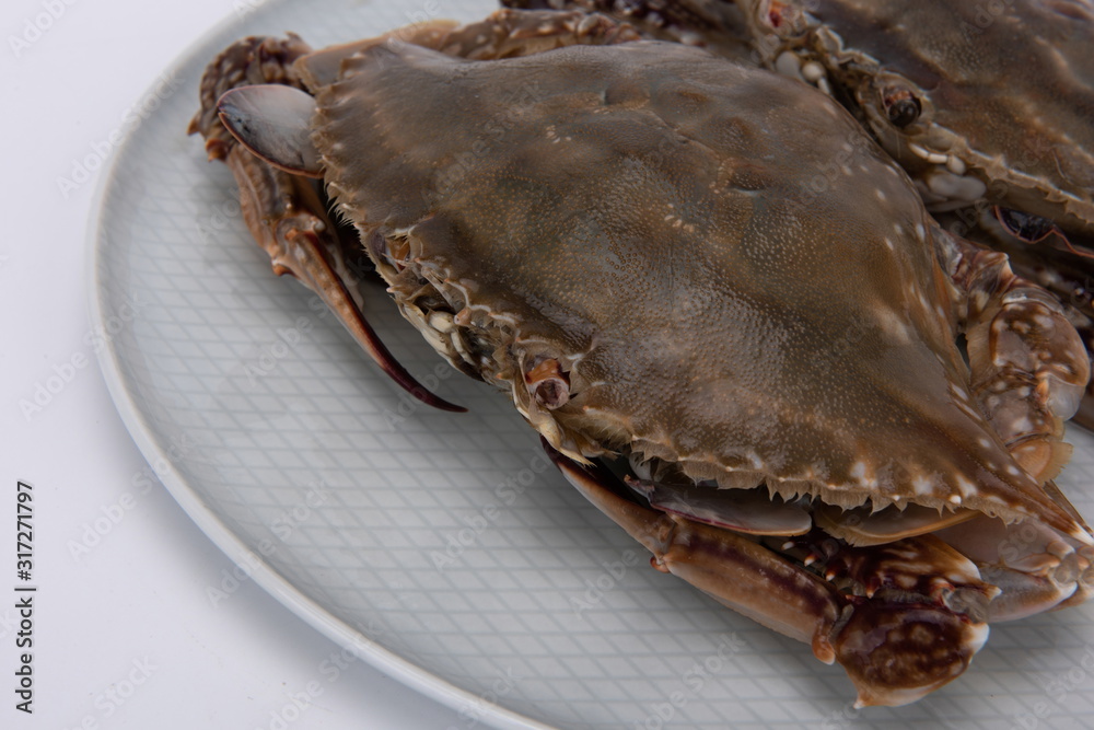 Fresh crabs on a plate, against a white background Fresh crabs on a plate, against a white background
