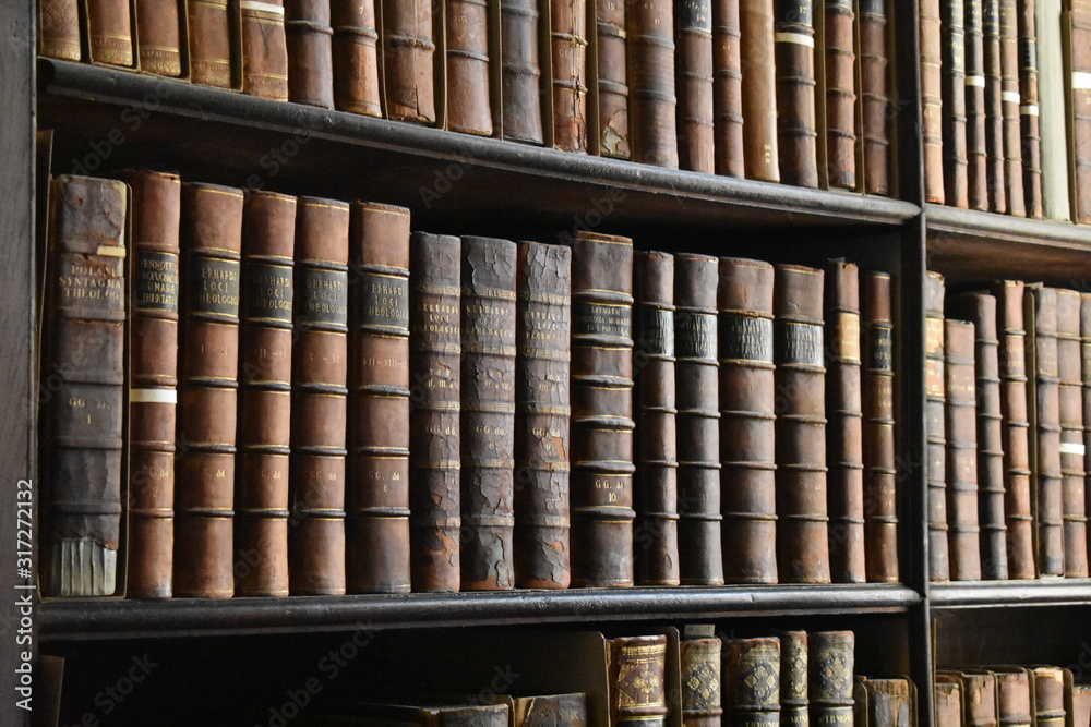 Fototapeta premium books on shelf