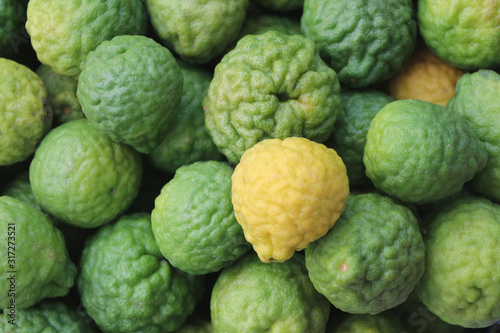 Fresh Bergamot herbal background yellow and green color natural aroma for healthy