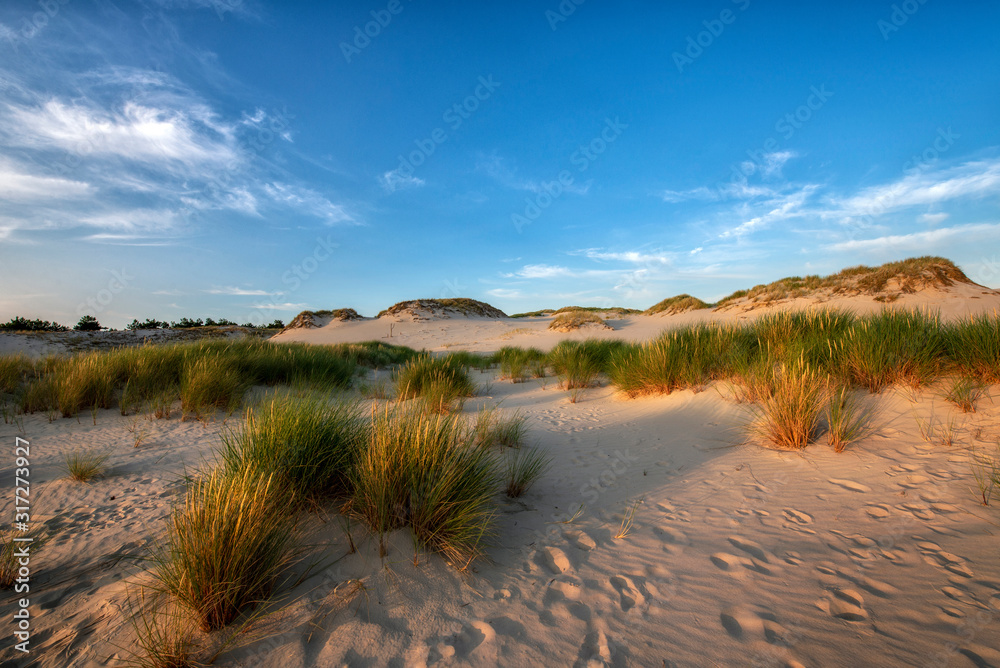Beautiful dessert landscape during golden hour Beautiful dessert landscape during golden hour