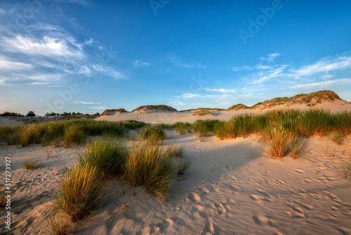 Beautiful dessert landscape during golden hour