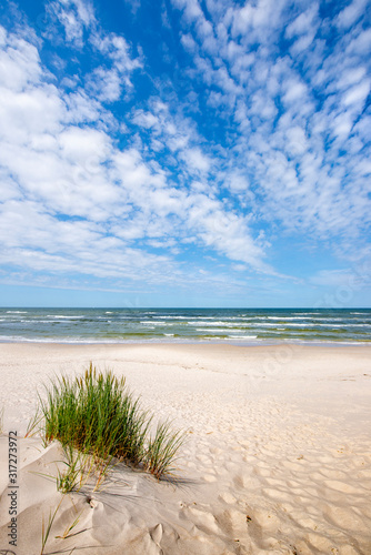 Fototapeta Naklejka Na Ścianę i Meble -  Beautiful summer landscape of sea coast and dunes