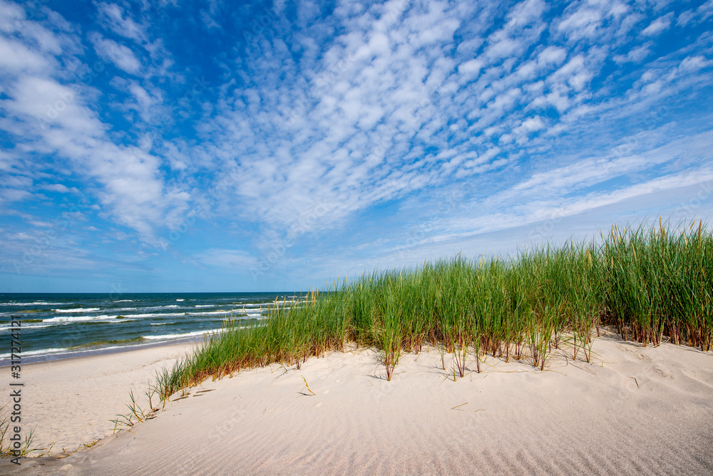 Beautiful summer landscape of sea coast and dunes Beautiful summer landscape of sea coast and dunes