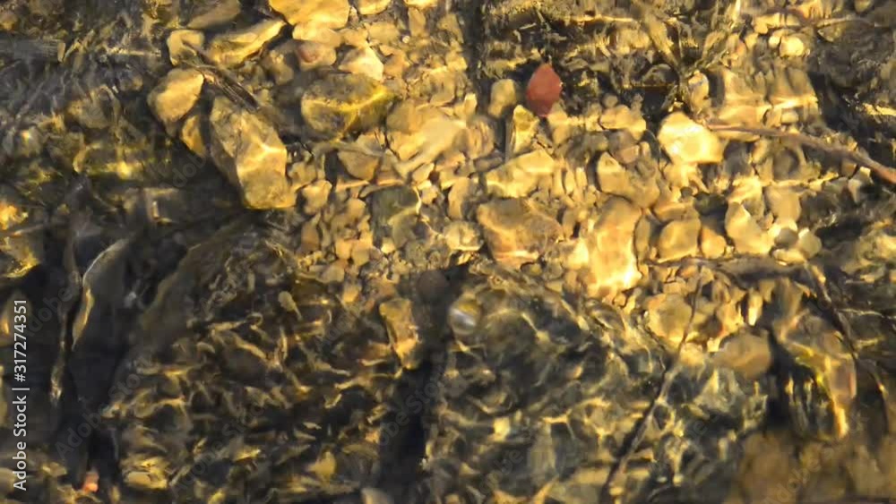 creek with sun refelxions and stones on the ground creek with sun refelxions and stones on the ground