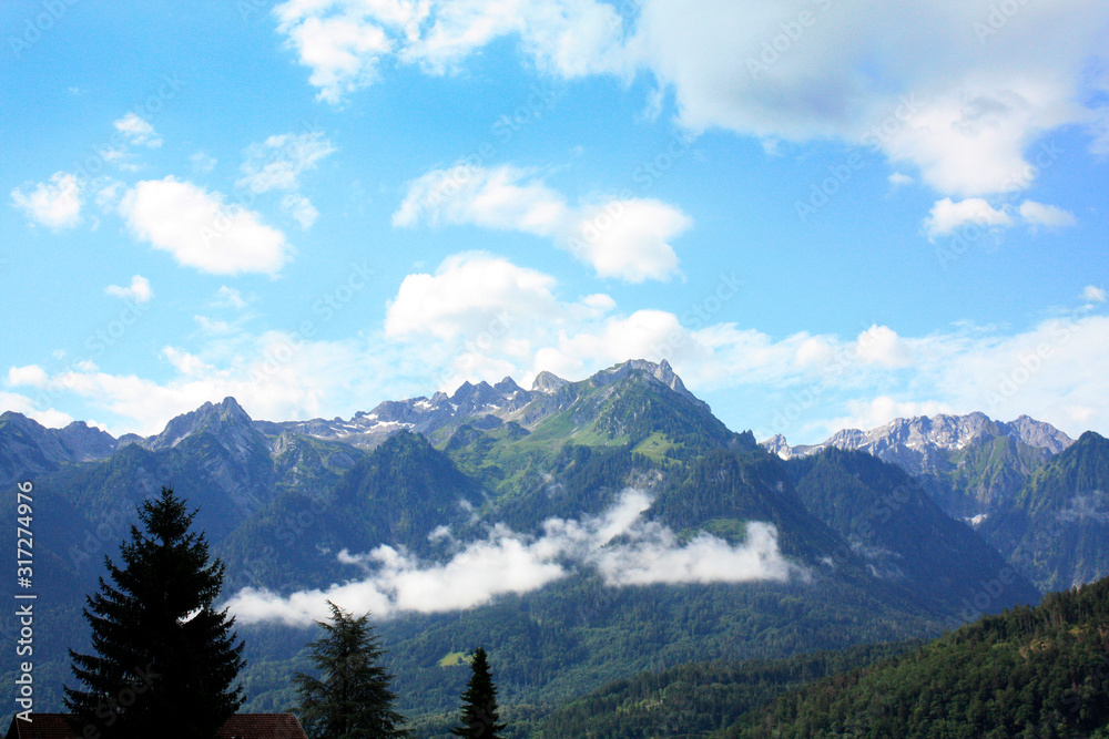 Austria. Landscape with Austrian Alps. Summer in mountains.