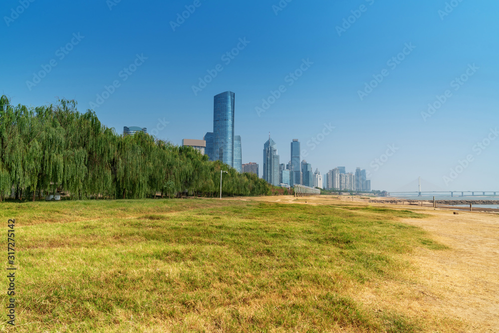 city park with modern building background in shanghai city park with modern building background in shanghai