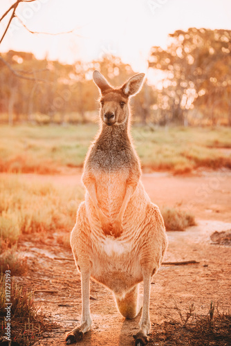 Heirisson Island in Perth photo