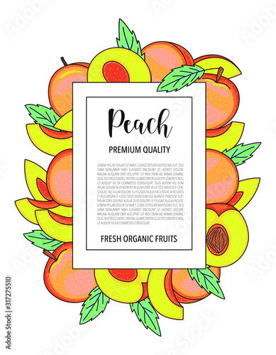 Vector background with peach  whole and pieces. Vector stock illustration isolated on white background. Card design with fruits. Product information and lettering.