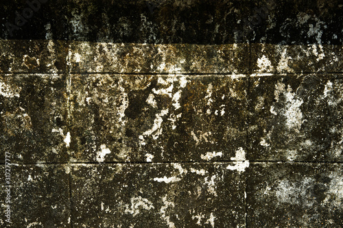 Close up old dirty cement wall with black mold background photo