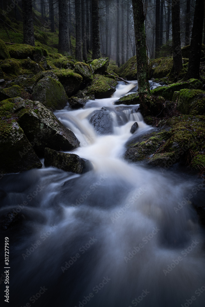 Naklejka premium Creek flowing through a misty forest with moss-clad rocks