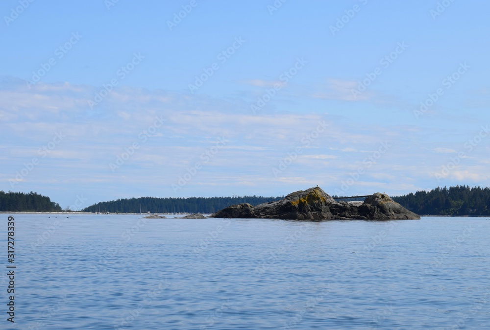 small rocky island, a harbour seal colony in the ocean off the shores of Quadra Island, BC Canada small rocky island, a harbour seal colony in the ocean off the shores of Quadra Island, BC Canada