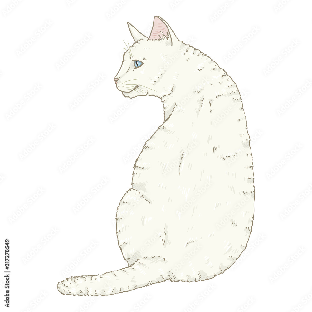 Sitting White Cat Vector Cartoon Illustration Stock Vector Adobe Stock