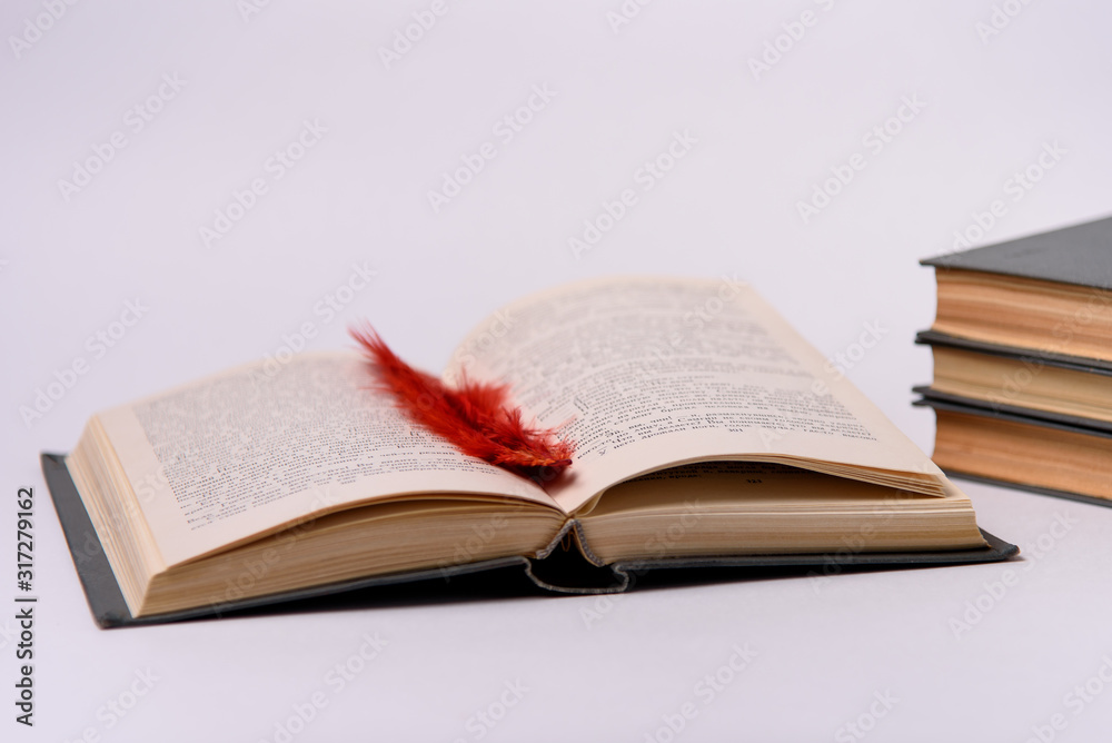Open book with a bookmark on a white background. Open book with a bookmark on a white background.
