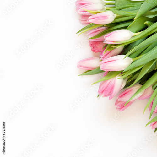 Fototapeta Naklejka Na Ścianę i Meble -  Tulips flowers on white background. Flat lay, top view. Lovely greeting card with tulips for Mother's day, wedding or happy event - Image.