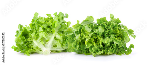 Lettuce vegatable isolated on white background. full depth of field