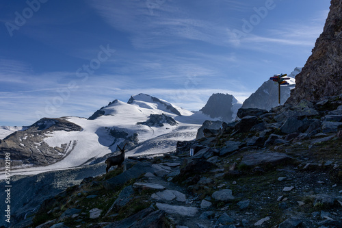 swiss glacier