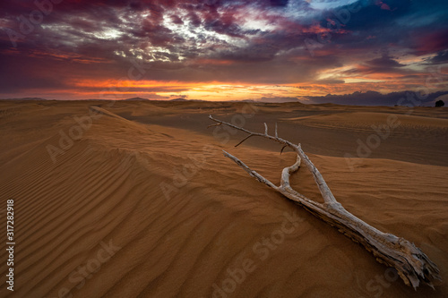 Holzstück auf Düne in der Wüste bei wundervollen Sonnenuntergang
