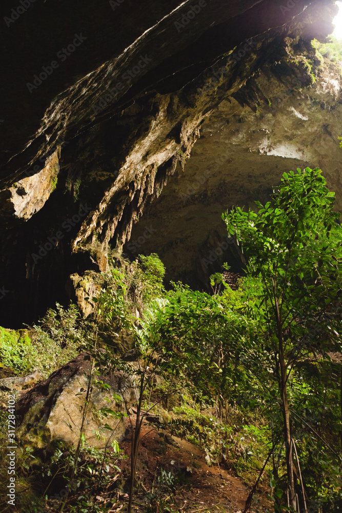 Fototapeta premium View inside Deer cave in Gunung Mulu National Park