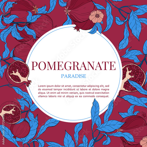 Vector banners with with pomegranate fruits on burgundi background. photo