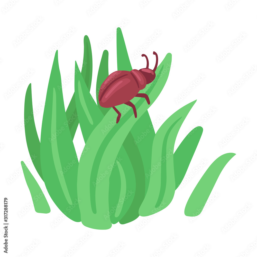 Beetle crawls on the grass. Vector isolated object on white background. Beetle crawls on the grass. Vector isolated object on white background.