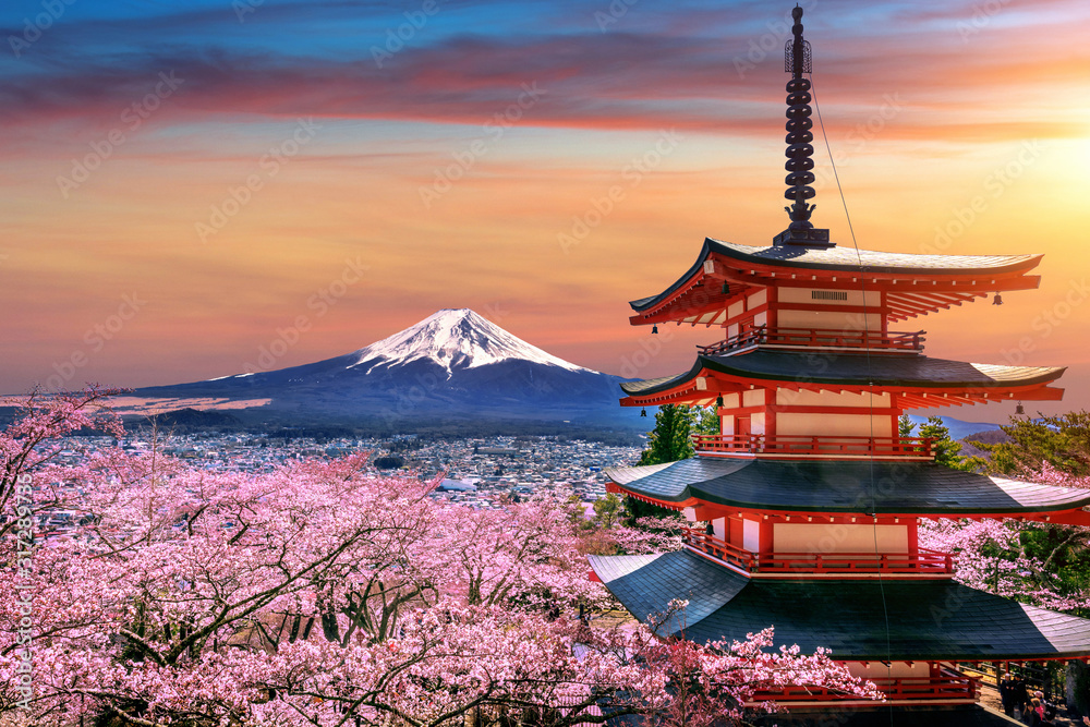 Fototapeta Wiśniowe kwiaty na wiosnę, pagoda Chureito i góra Fuji o zachodzie słońca w Japonii.