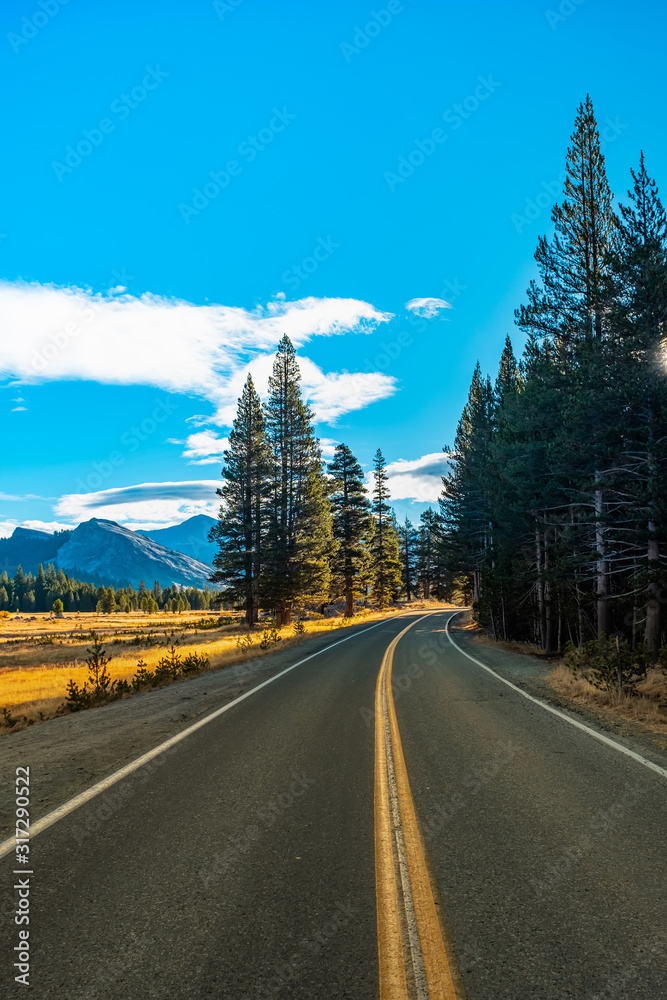 Naklejka premium Yosemite National Park, California, USA