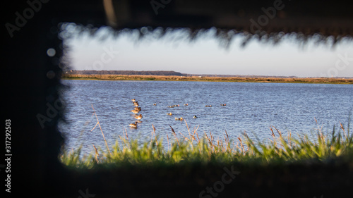 Canard Hutte Chasse Tonne Gabion
