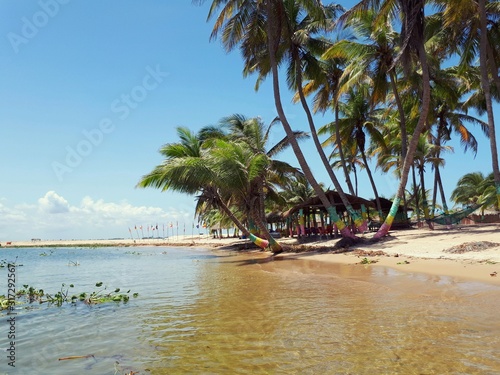 palm-lined sweet water beach at ada foah, Ghana © Thomas