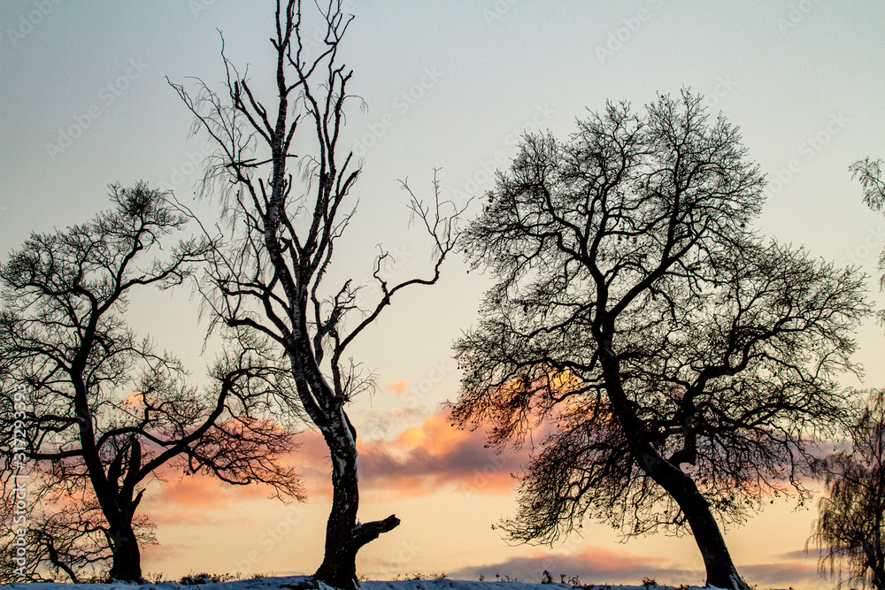 Winter sun in the mountains of Romania