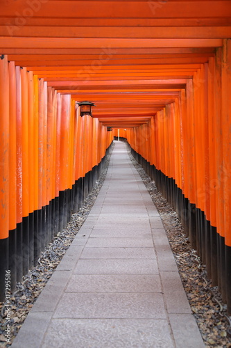 Fushimi Inari-taisha, Kyoto, Japan