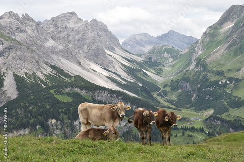 Berglandschaft in Vorarlberg