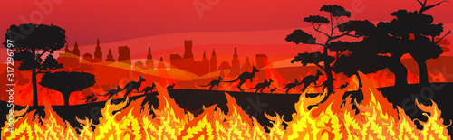 silhouettes of kangaroos running from forest fires in australia animals dying in wildfire bushfire burning trees natural disaster concept intense orange flames horizontal vector illustration © mast3r