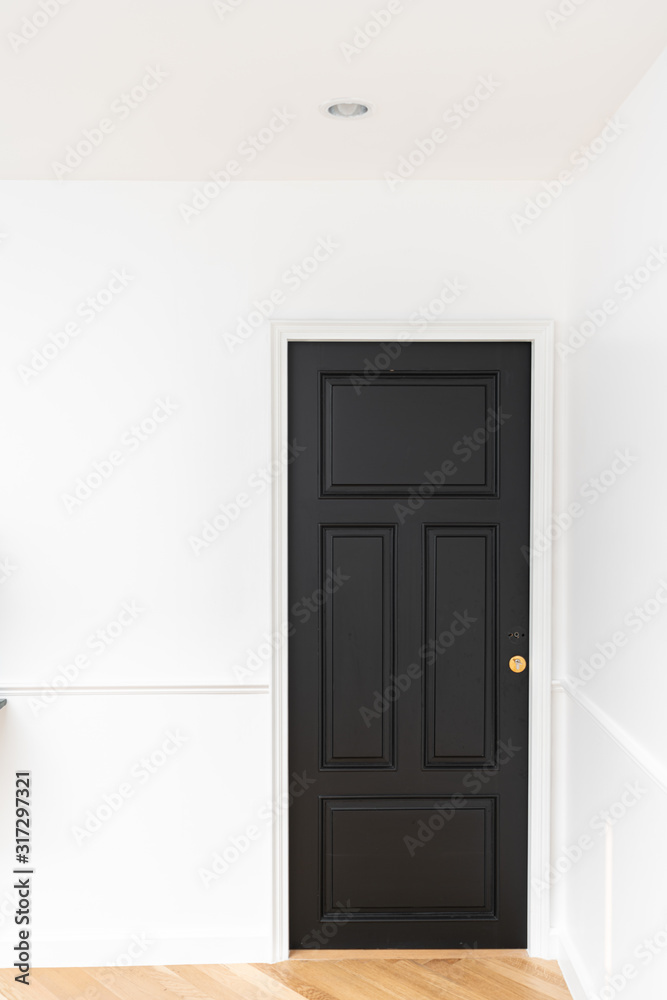 Black classic detail door with gold stainless handle with white painted wall / interior design