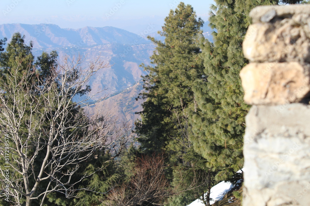 custom made wallpaper toronto digitalBeauty of Nature In Winter