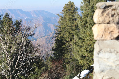 Wallpaper Mural Beauty of Nature In Winter Torontodigital.ca