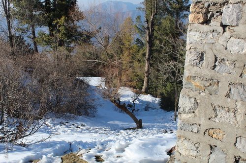 Wallpaper Mural The White Nature Beauty Torontodigital.ca