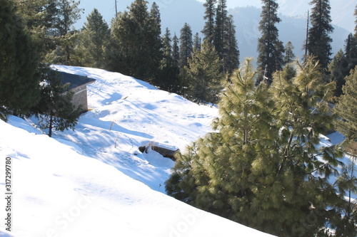 Wallpaper Mural The White Nature Beauty Torontodigital.ca