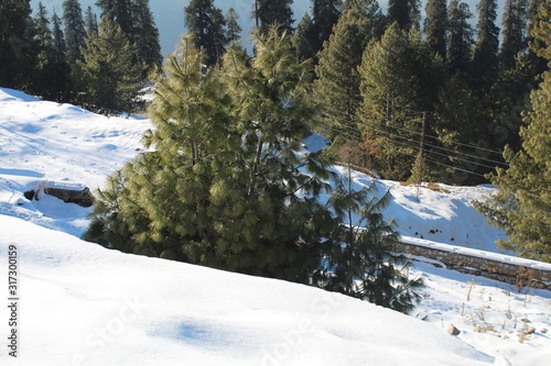 Wallpaper Mural The White Nature Beauty Torontodigital.ca