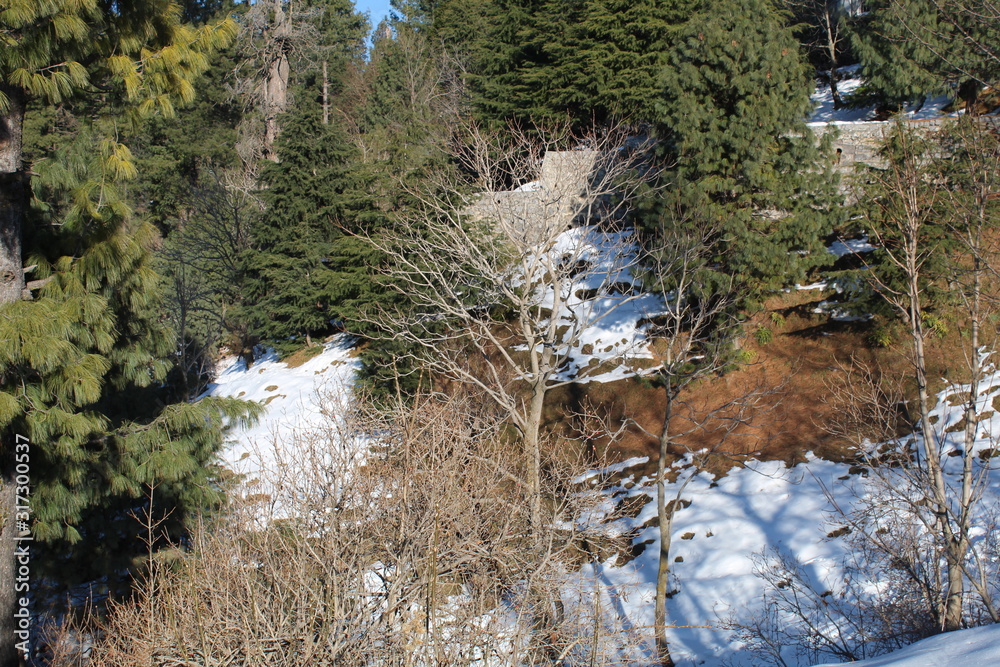 custom made wallpaper toronto digitalThe White Nature Beauty