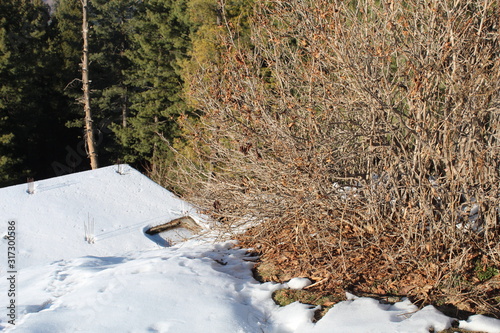 Wallpaper Mural The White Nature Beauty Torontodigital.ca