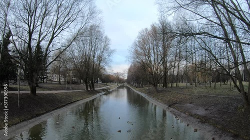 Wallpaper Mural Ducks birds swim in a lake in a city park Torontodigital.ca