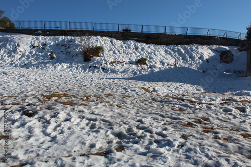 Wallpaper Mural Beauty of Nature In Winter Torontodigital.ca