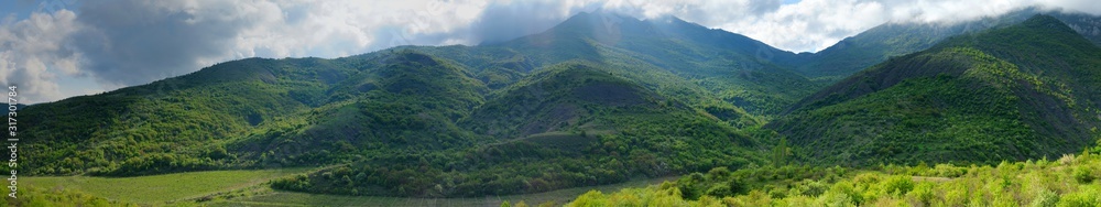 Mountain ranges covered with forest and bushes