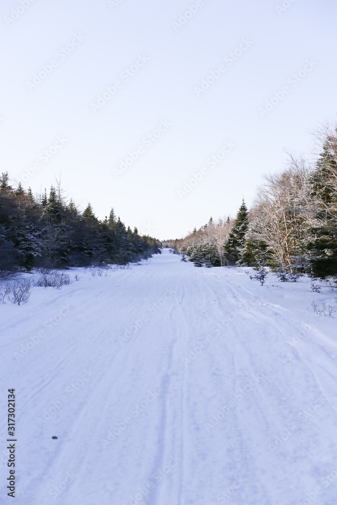 Snowy winter trail
