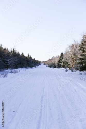 Snowy winter trail