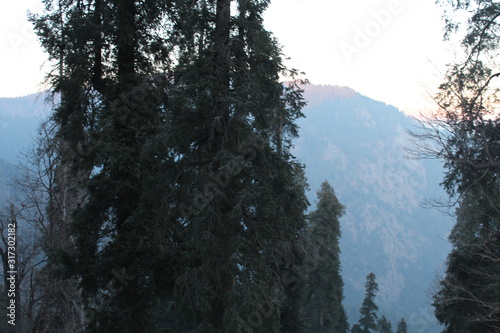 Wallpaper Mural Beauty of Nature Torontodigital.ca