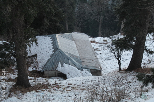 Wallpaper Mural Beauty of Nature In Winter Torontodigital.ca