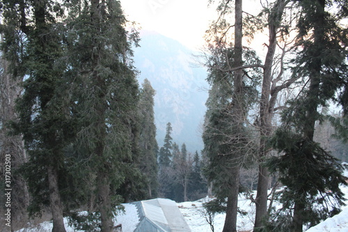 Wallpaper Mural Beauty of Nature Torontodigital.ca