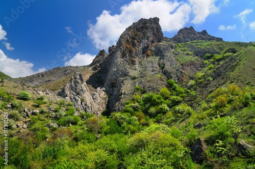 Rocky cliff in Crimean mountains © YouraPechkin